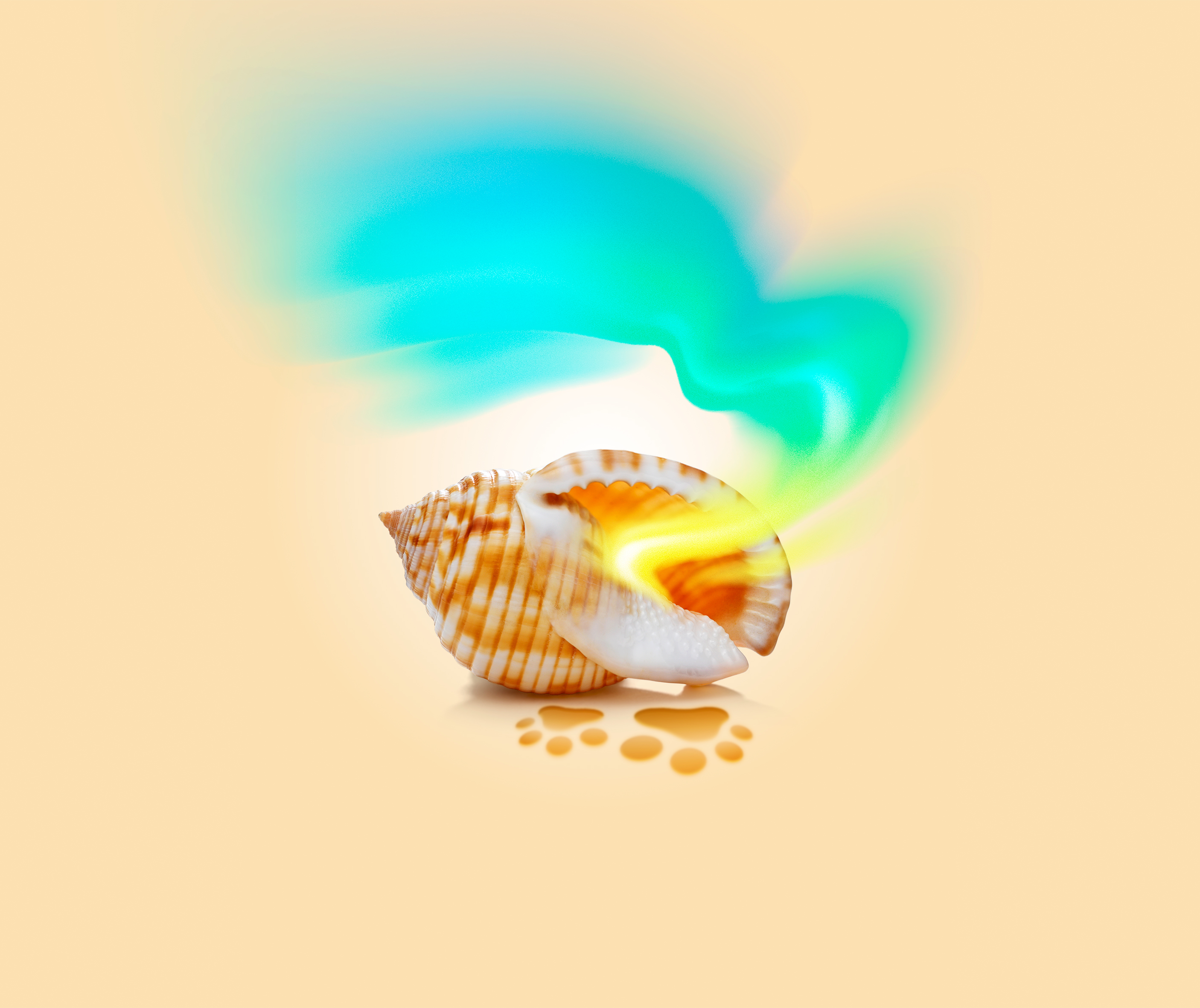 Product intro image